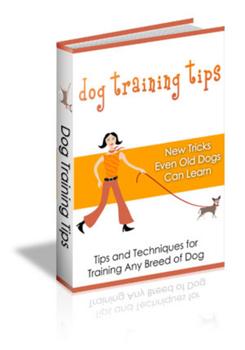 Product picture 90 DOG TRAINING TIPS